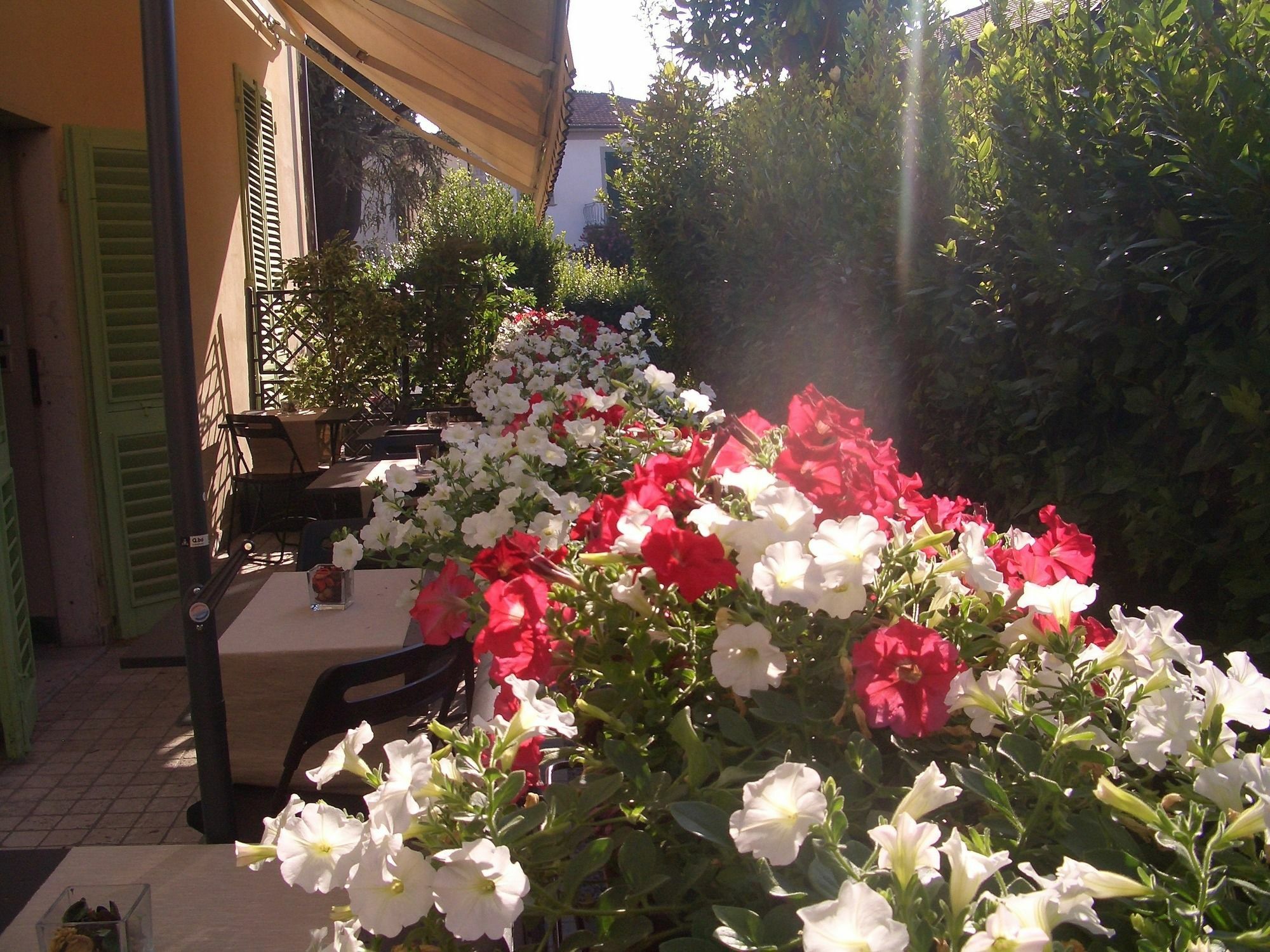 Bed and Breakfast Lucca Relais Exterior foto